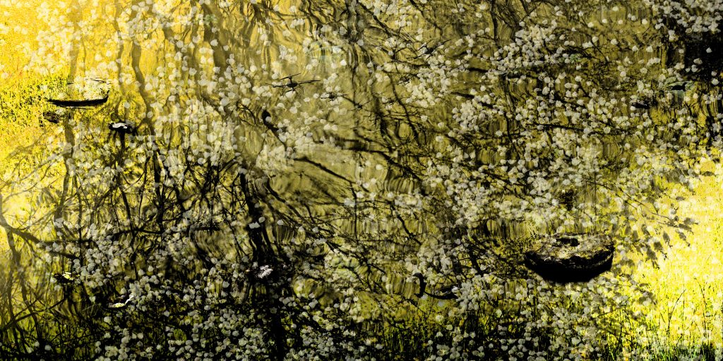 Giverny, 280 cm x 140 cm, Ed. 04/06, 2016